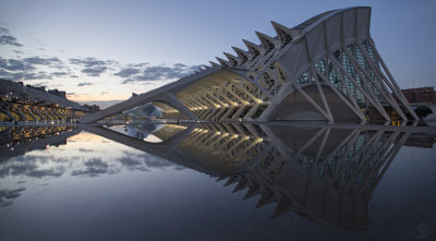 City of Arts and Sciences Evening