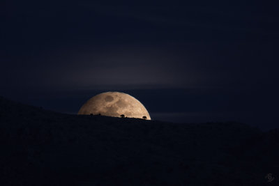 Snow Moon-rise Over the Catalina Foothills