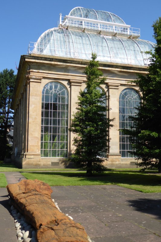 Cr en 1670, le Jardin Botanique Royal abrite 36000 plantes reprsentant 15000 espces diffrentes du monde entier