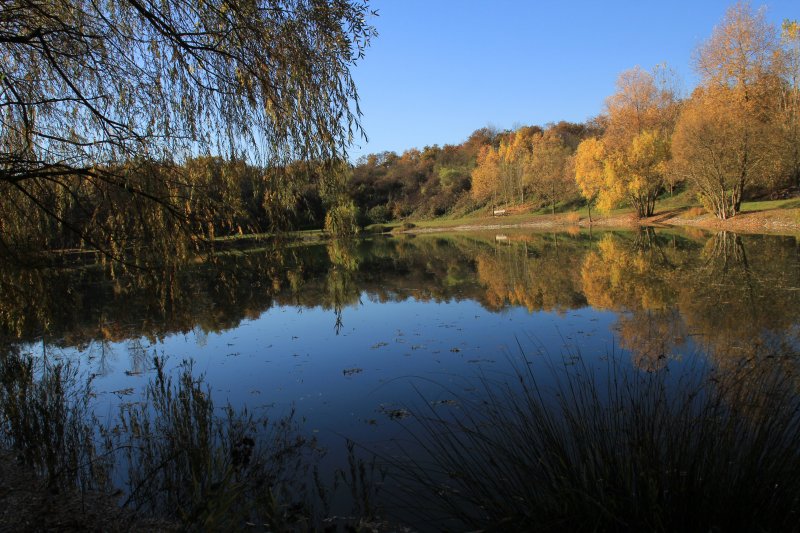 The fishing pond with its fall colors
