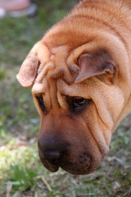 IMG_9820