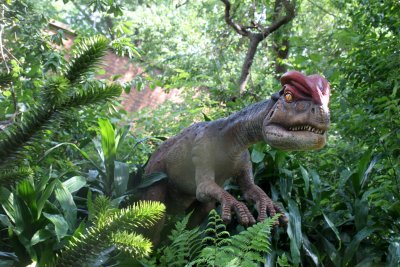Follow us in the Bronx Zoo Dinosaur Safari...
