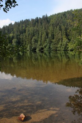 IMG_2291