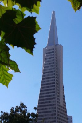 Le plus haut gratte-ciel de San Francisco Transamrica Pyramid (260m) -  the tallest skyscraper of the city