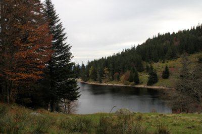Promenade autour du lac des truites - Walking around the lake of trouts