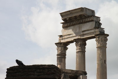 Le Forum : Temple de Castor et Pollux