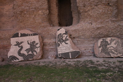 Thermes de Caracalla : Fragments de mosaque