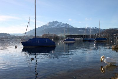 Le lac avec, en arrire-plan, le Mont Pilatus - The lake and in underground The Pilatus mountain