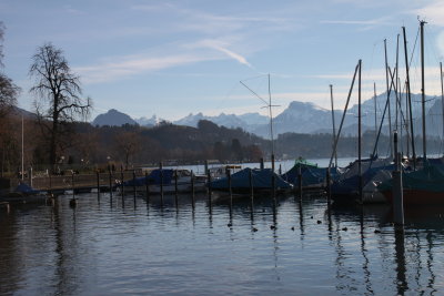 IMG_4513