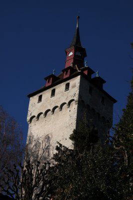 IMG_4554
