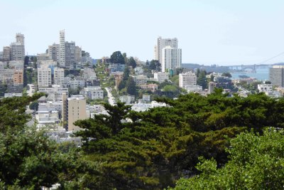 View of the Lombard street from high of Telegraph hill