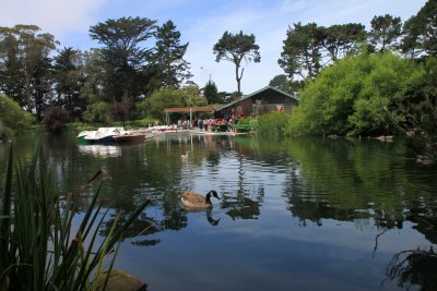 The Stow Lake in the Golden Gate Park