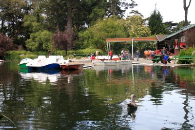The Stow Lake in the Golden Gate Park