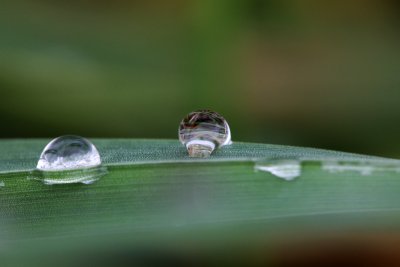 IMG_0378