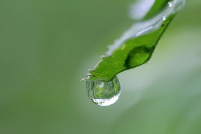IMG_0394
