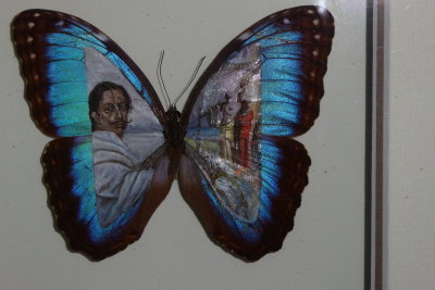 Dali peint sur les ailes d'un papillon morpho - Salvador Dali painted on the wings of a butterfly