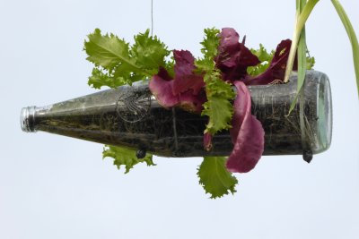 How to make a lovely planter with a coca bottle? 