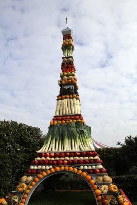 IMG_6626