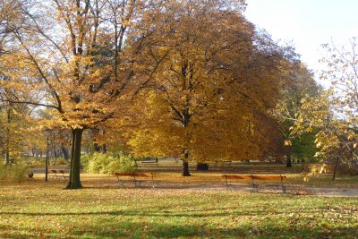 In the Krasinskich parc