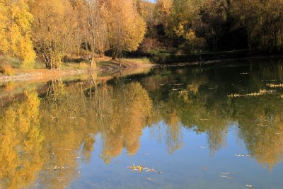 L'étang de pêche se pare de ses couleurs d'automne