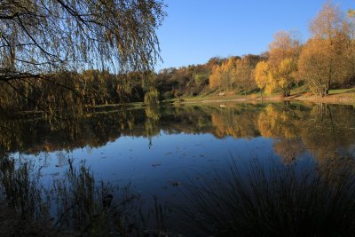 The fishing pond with its fall colors