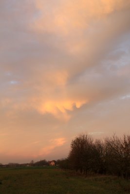 IMG_7914