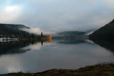 IMG_8398