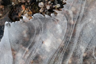 There's so many different shapes in a piece of ice : sometimes lovely wawes....