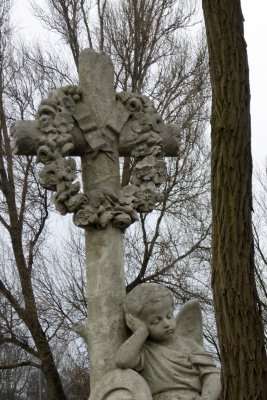 In the Wilanow cemetery