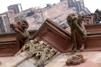 Les gargouilles de la Cathdrale