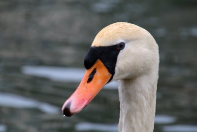 IMG_0478
