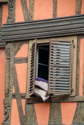 IMG_0489