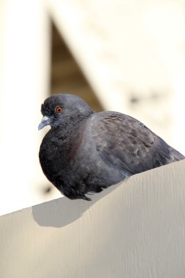 IMG_0147