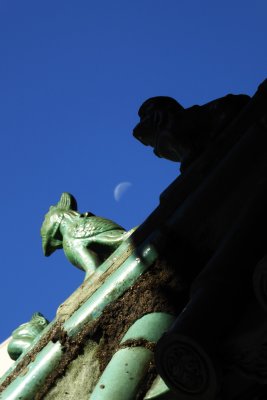 P1040602