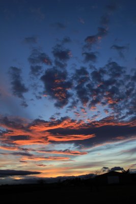 IMG_2094
