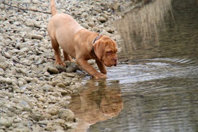 Je découvre mon reflet dans l'étang de pêche - I discover my reflection in the pond