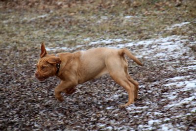 Je m'amuse comme un petit fou! - What a pleasure to walk and spring in the nature!!