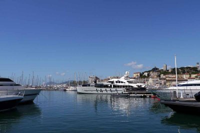 Cannes Film Festival