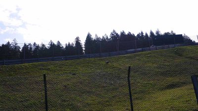 Yes Eau Rouge is really that steep