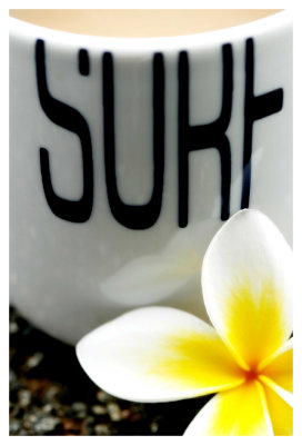 frangipani surf