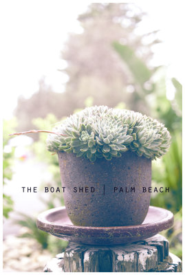 The Boat Shed | PALM BEACH
