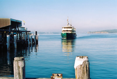 Freshwater Ferry II