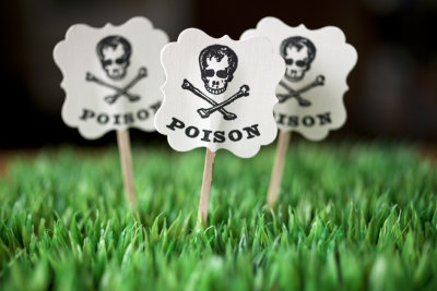 Poison 1
