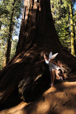 KingsCanyon_Oct09_8512.jpg