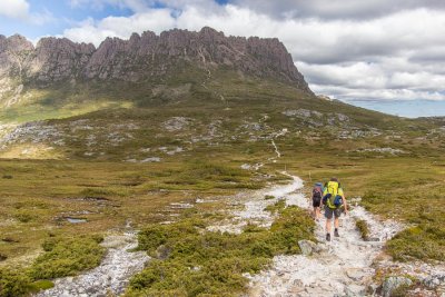 The track heads towards Cradle Mountain