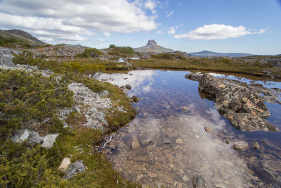 One of many small tarns on Cradle Plateau, with Barn Bluff beyond