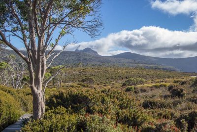 Cradle Mountain, lost in low cloud, with Benson Peak