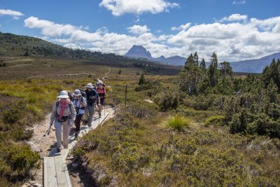 Back on the main track with Cradle Mountain in the distance