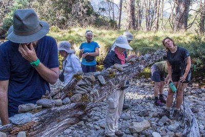 The best fossils get a place on the log. Some bizarre creatures of more modern origin can also be found here!
