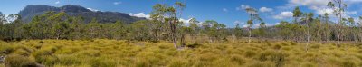 Panoramic view of Pelion Plains and Mt Oakleigh